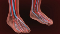 Poor Circulation May Affect the Feet